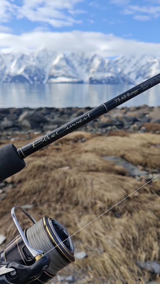 Close-up of a fishing rod and reel held over a rocky shore, with a calm lake and snow-capped mountains in the background.